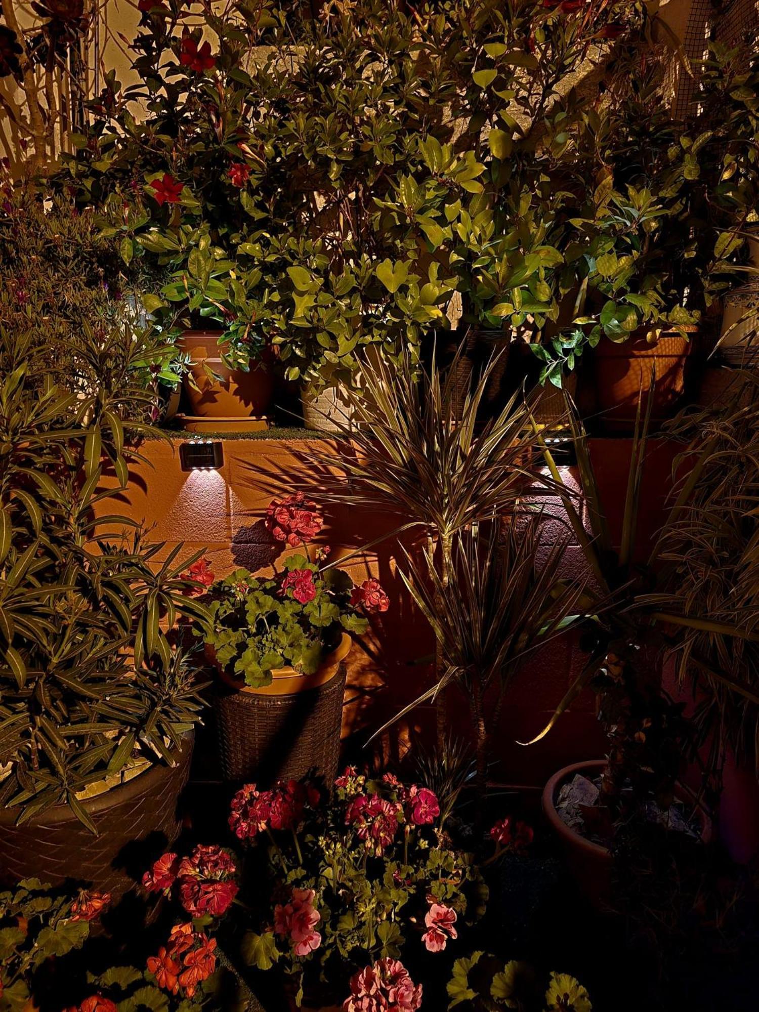 Holiday House - Casa De Monica クリェラ エクステリア 写真